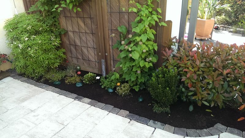 Terrassenbau & Natursteinarbeiten Beispiel 2